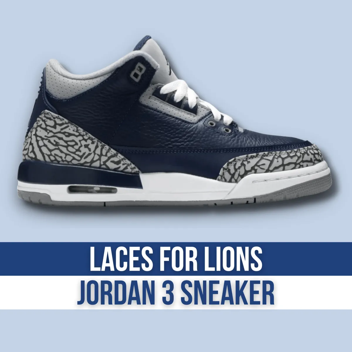 Laces for Lions Air Jordan 3 Retro Navy & Silver