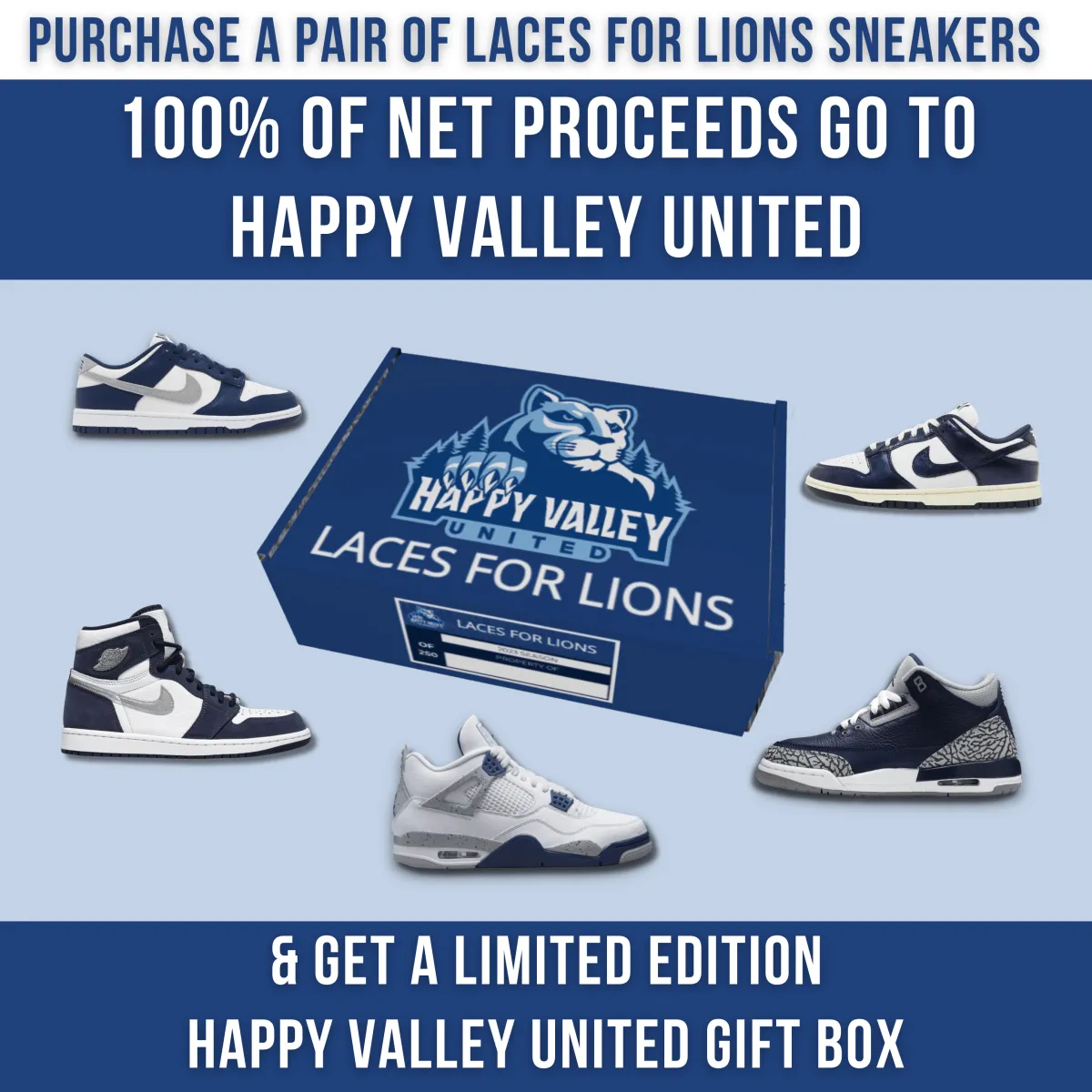 Laces for Lions Air Jordan 3 Retro Navy & Silver